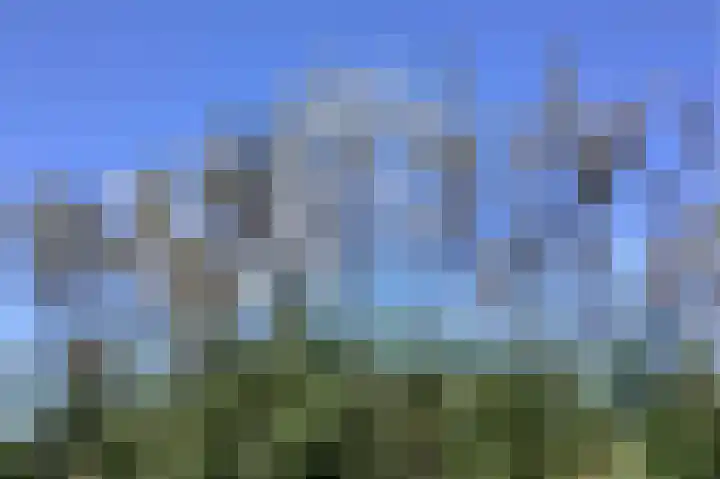 Hexelseweg 80 Z325 Hoge Hexel thumbnail 40