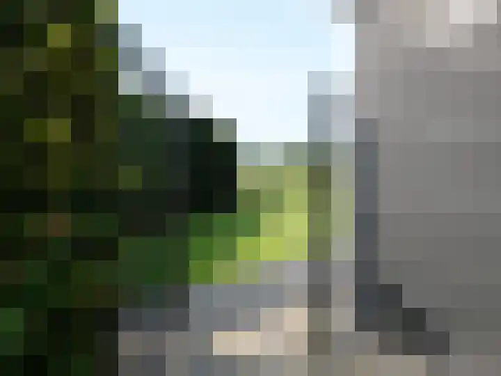 Hexelseweg 80 Z325 Hoge Hexel thumbnail 7