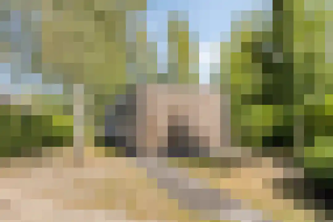 Hexelseweg 80 Z327 Hoge Hexel thumbnail 21