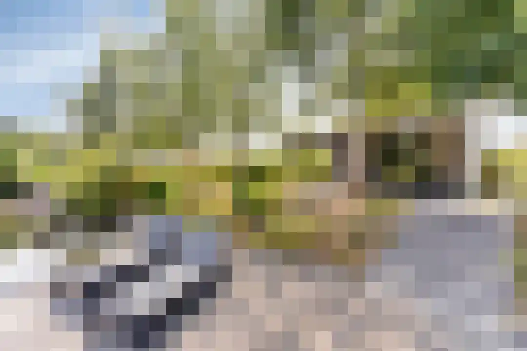 Hexelseweg 80 Z327 Hoge Hexel thumbnail 28