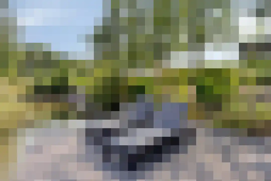 Hexelseweg 80 Z327 Hoge Hexel thumbnail 29