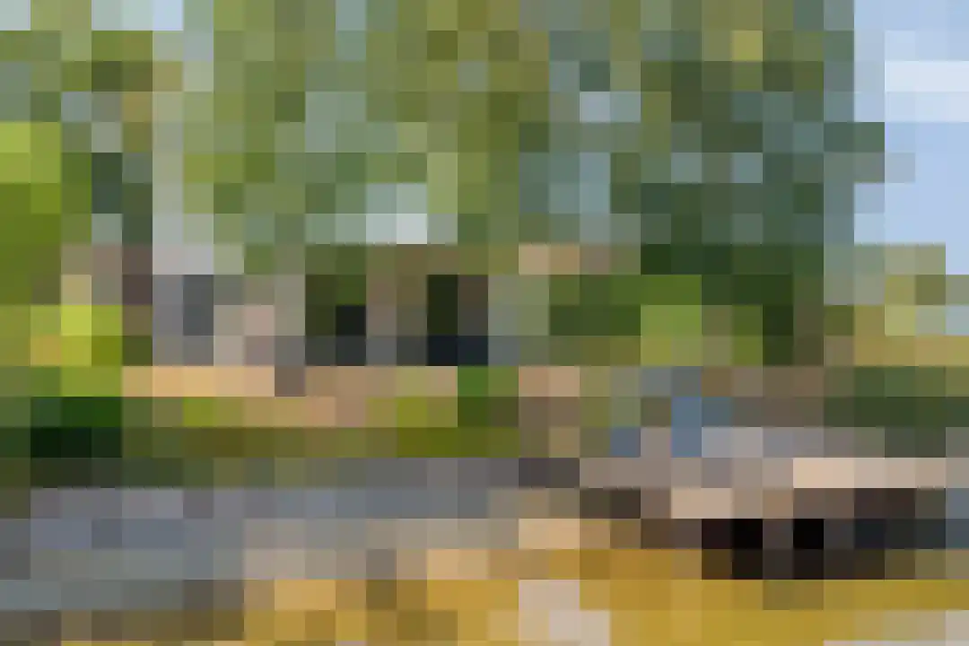 Hexelseweg 80 Z327 Hoge Hexel thumbnail 32