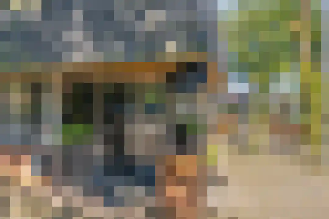 Hexelseweg 80 Z327 Hoge Hexel thumbnail 36