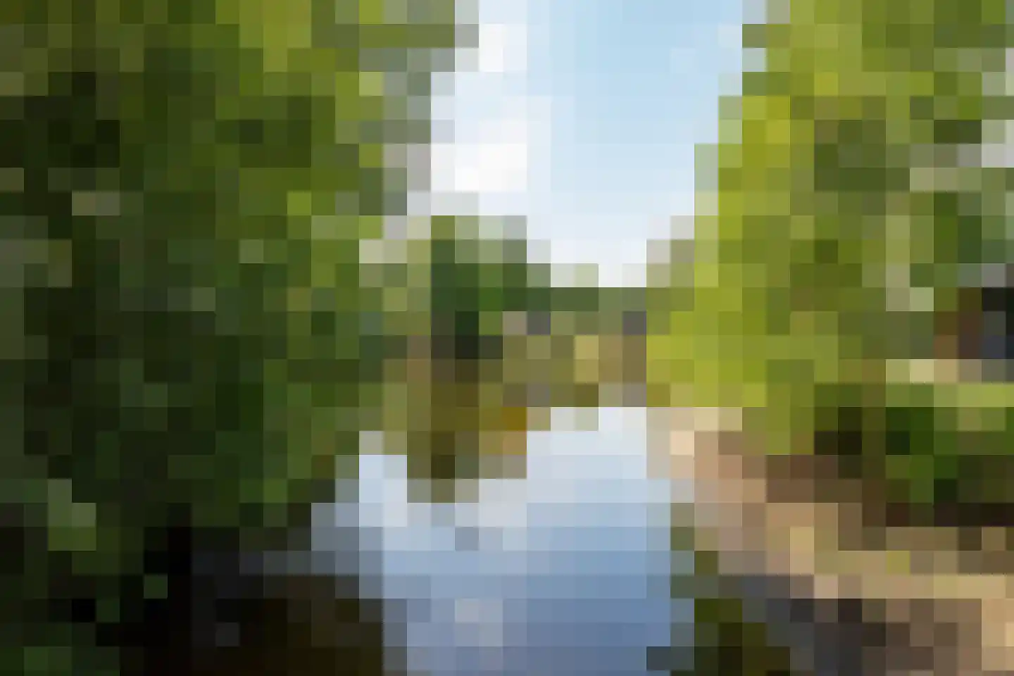 Hexelseweg 80 Z329 Hoge Hexel thumbnail 44