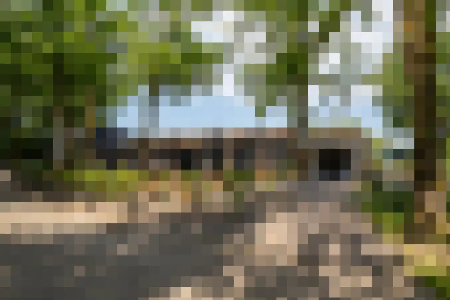 Hexelseweg 80 Z329 Hoge Hexel thumbnail 46
