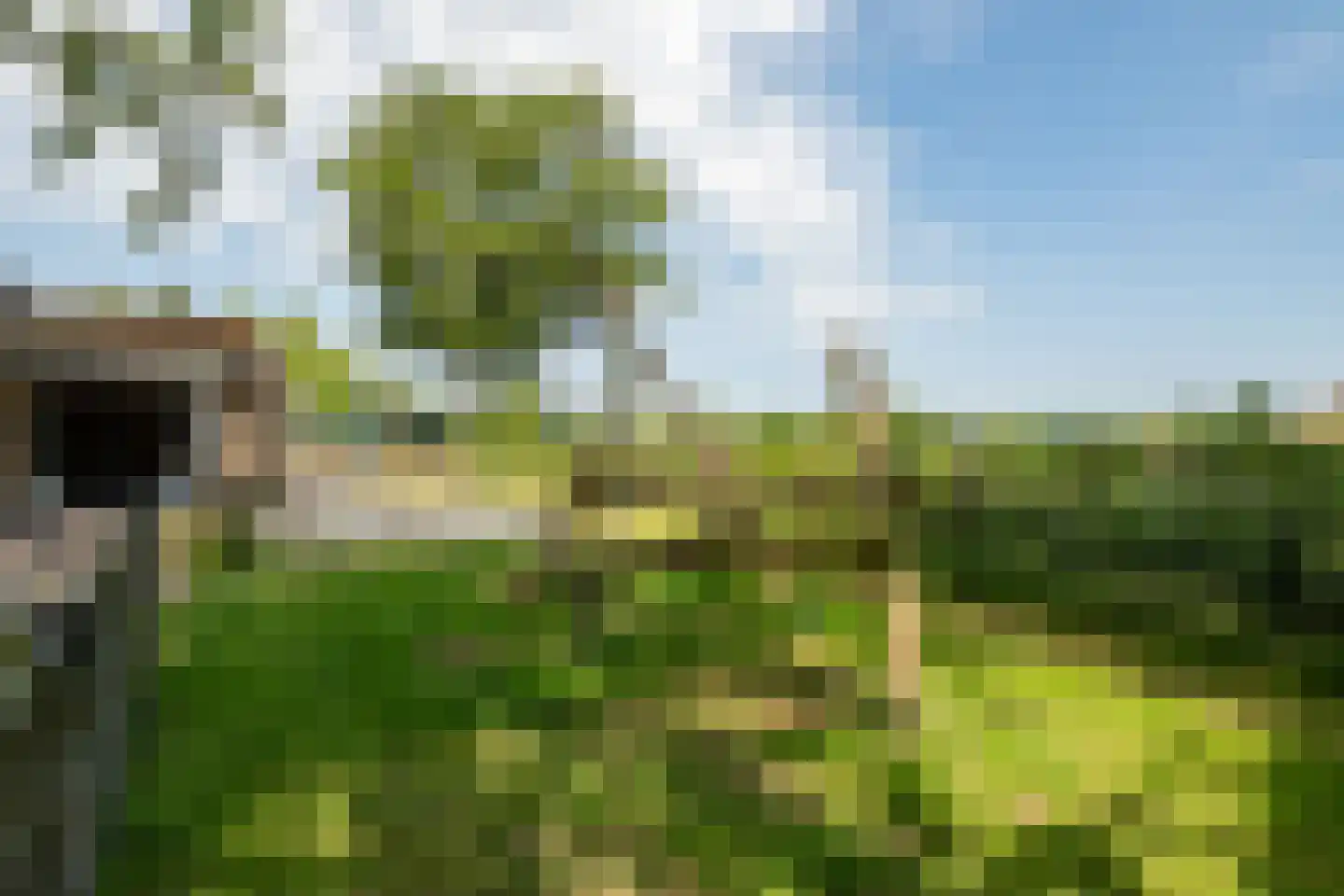 Hexelseweg 80 Z329 Hoge Hexel thumbnail 47