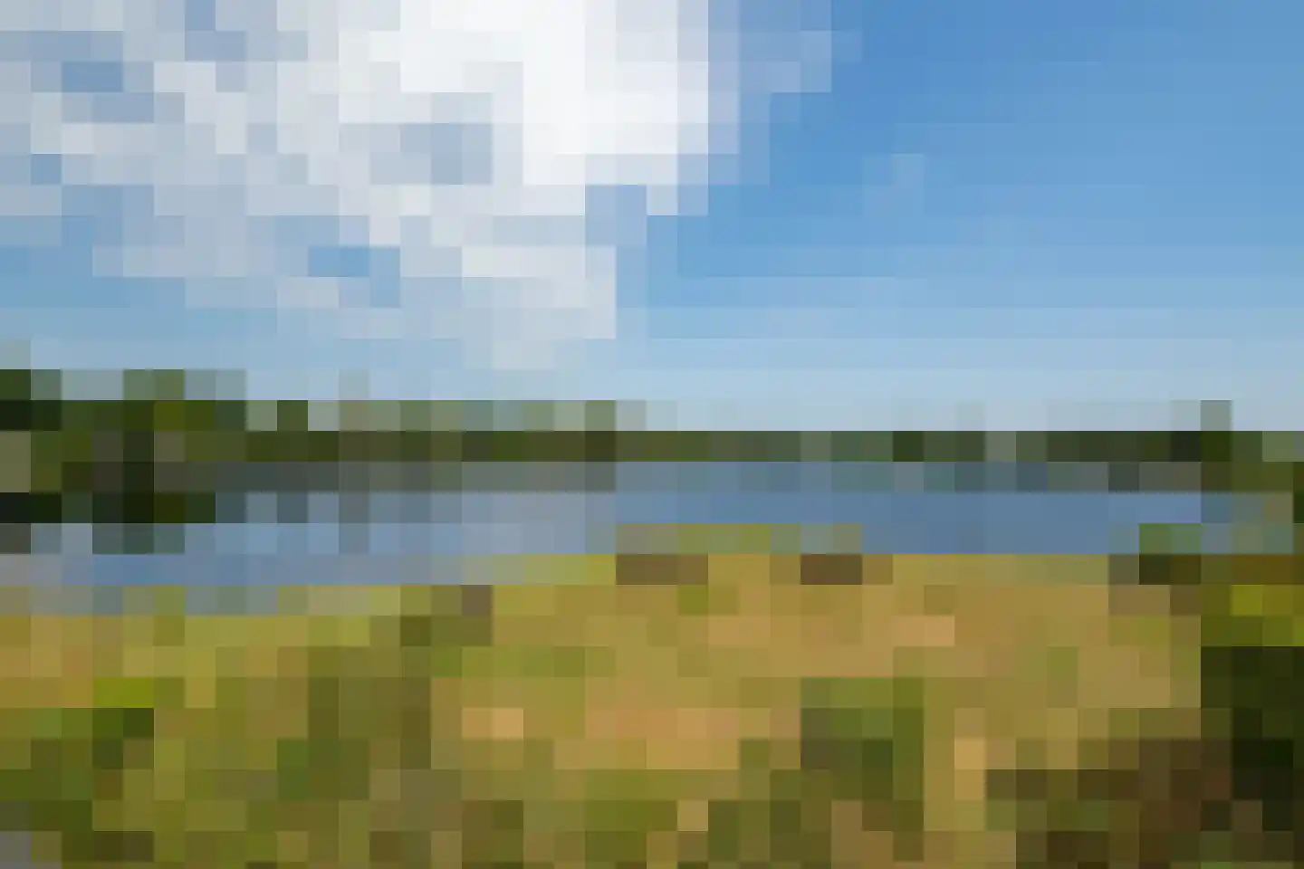 Hexelseweg 80 Z329 Hoge Hexel thumbnail 52