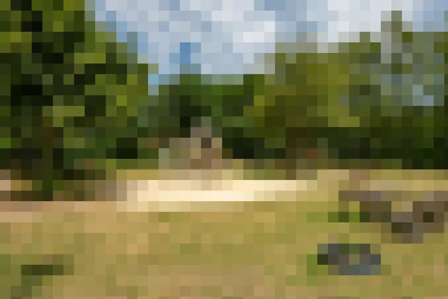 Hexelseweg 80 Z329 Hoge Hexel thumbnail 59