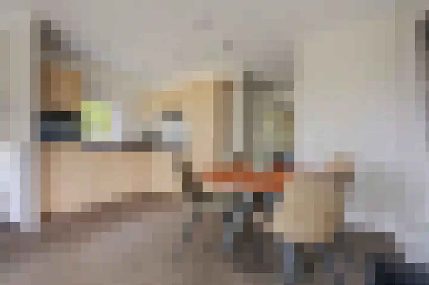 Hexelseweg 80 Z364 Hoge Hexel thumbnail 12