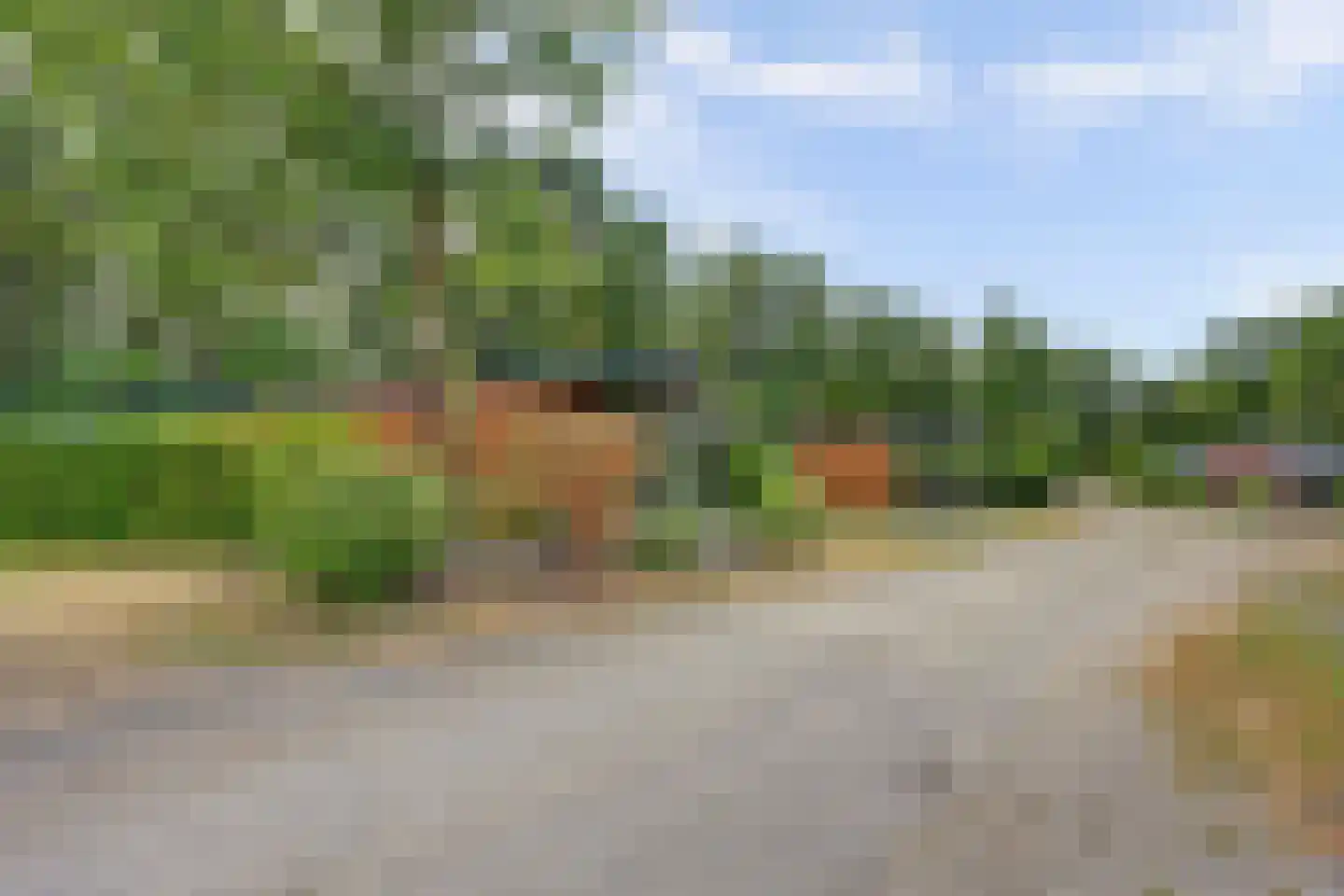 Hexelseweg 80 Z364 Hoge Hexel thumbnail 19