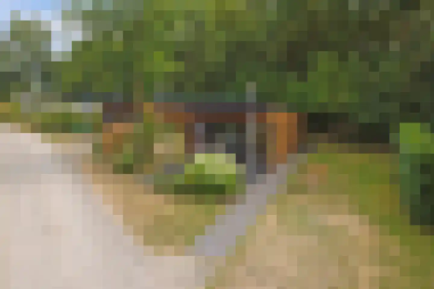 Hexelseweg 80 Z364 Hoge Hexel thumbnail 20