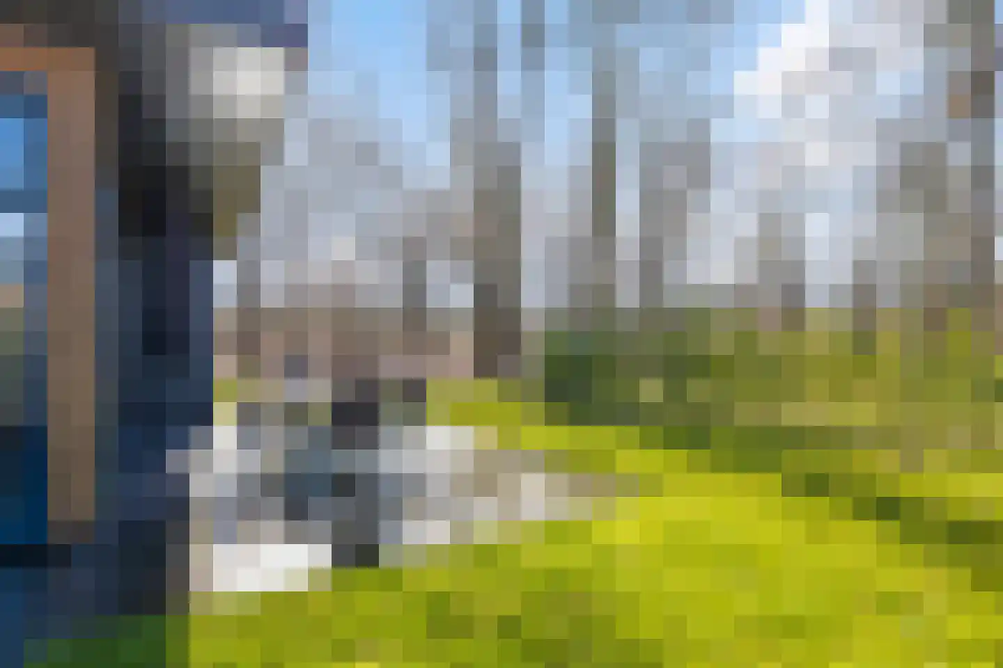 Hexelseweg 80 Z366 Hoge Hexel thumbnail 22