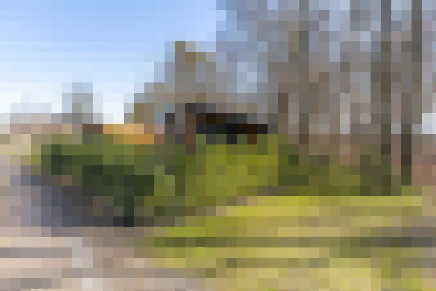 Hexelseweg 80 Z366 Hoge Hexel thumbnail 24