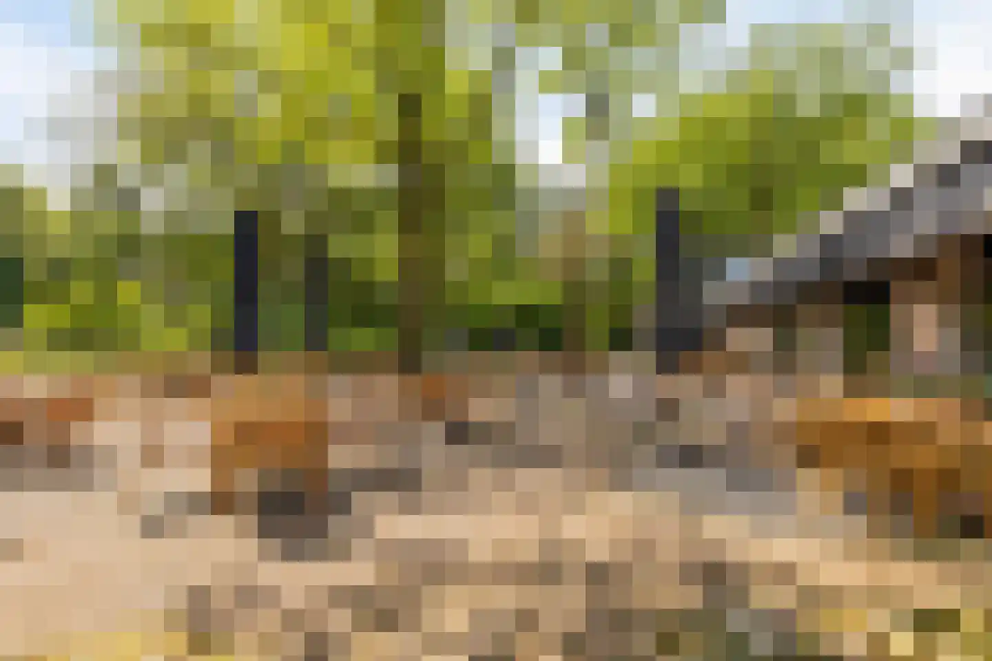 Hexelseweg 80 Z366 Hoge Hexel thumbnail 34
