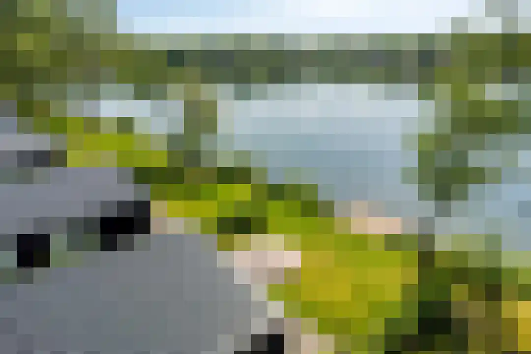 Hexelseweg 80 Z505 Hoge Hexel thumbnail 36