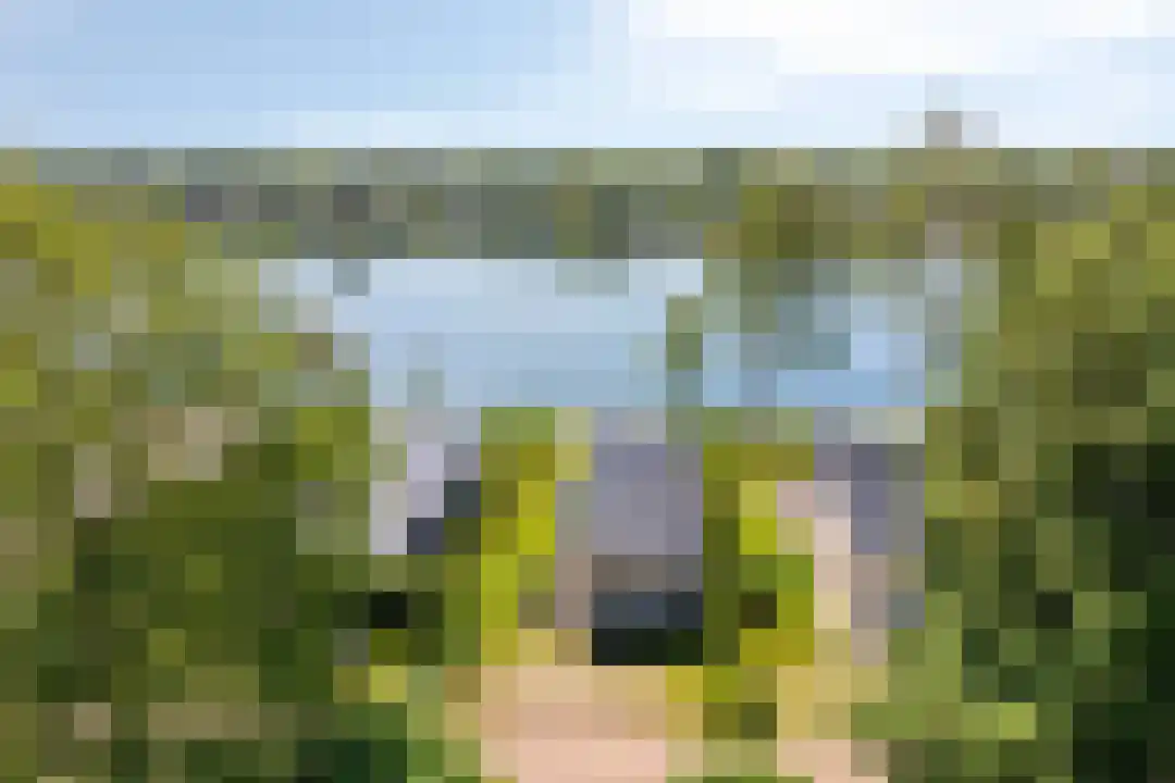 Hexelseweg 80 Z505 Hoge Hexel thumbnail 39