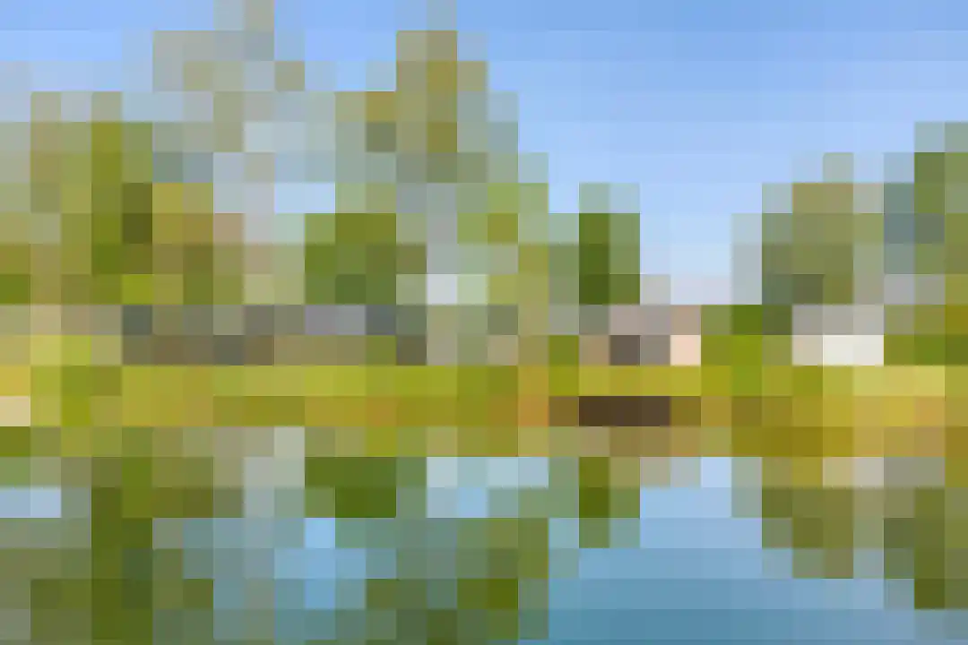 Hexelseweg 80 Z505 Hoge Hexel thumbnail 5