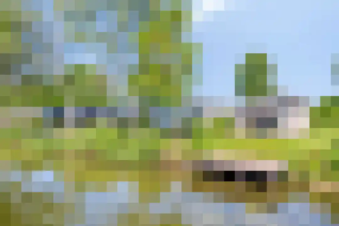 Hexelseweg 80 Z505 Hoge Hexel thumbnail 6