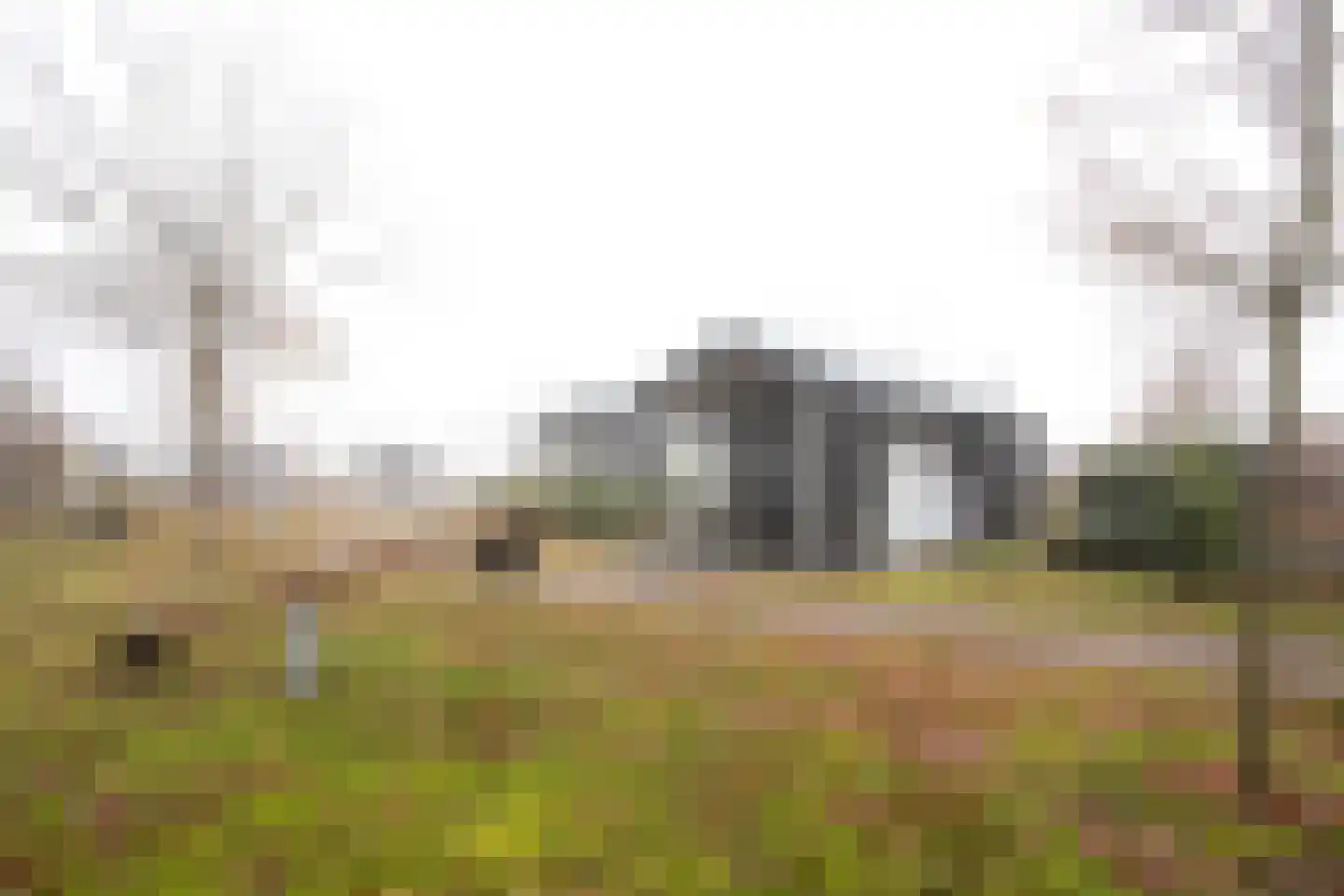 Hexelseweg 80 Z508 Hoge Hexel thumbnail 4