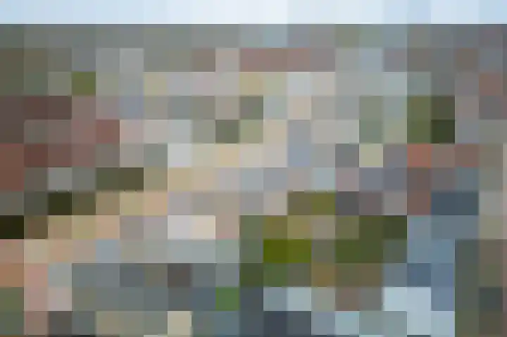 Hexelseweg 80 Z512 Hoge Hexel thumbnail 19