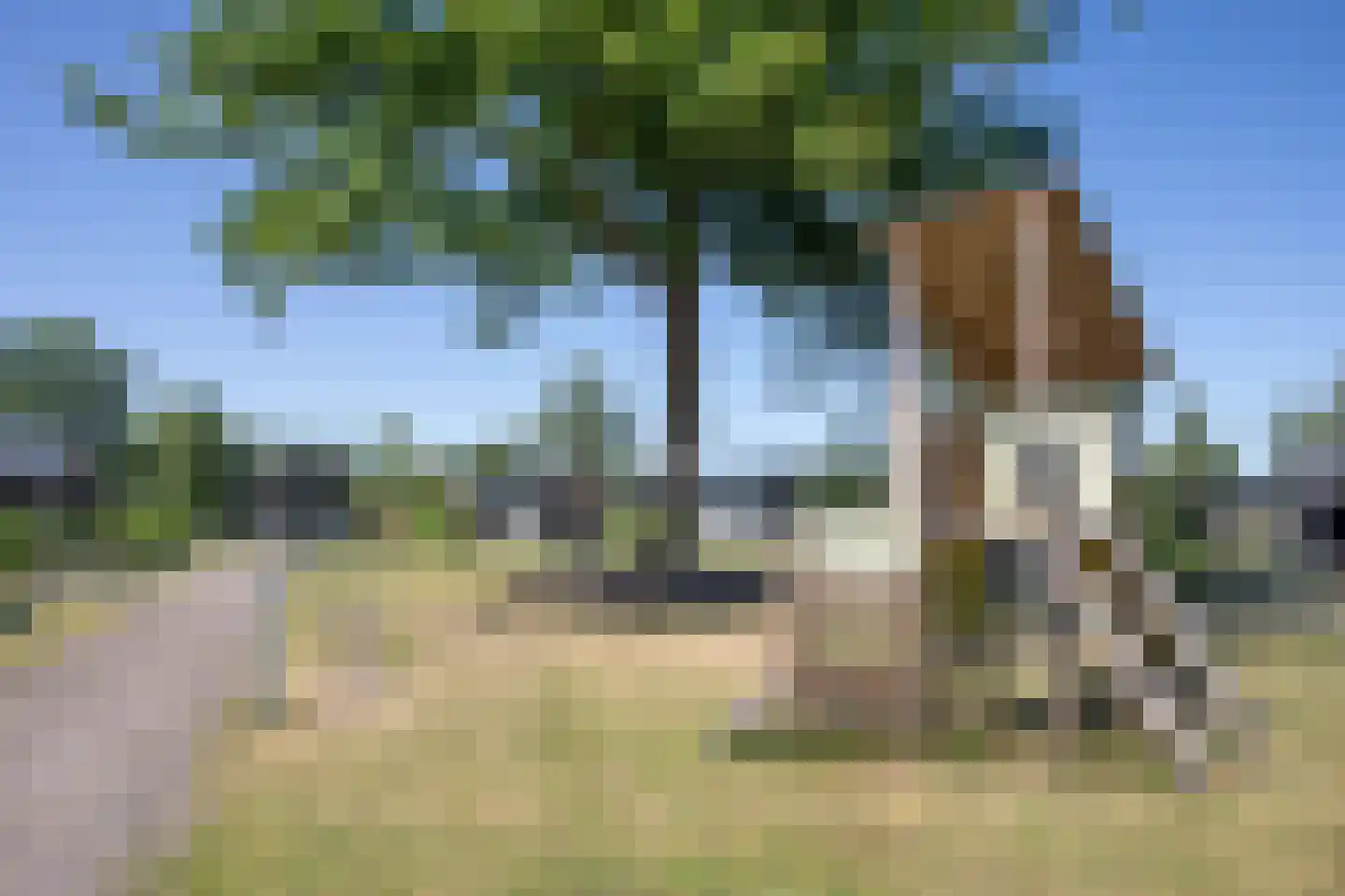 Hexelseweg 80 Z512 Hoge Hexel thumbnail 28