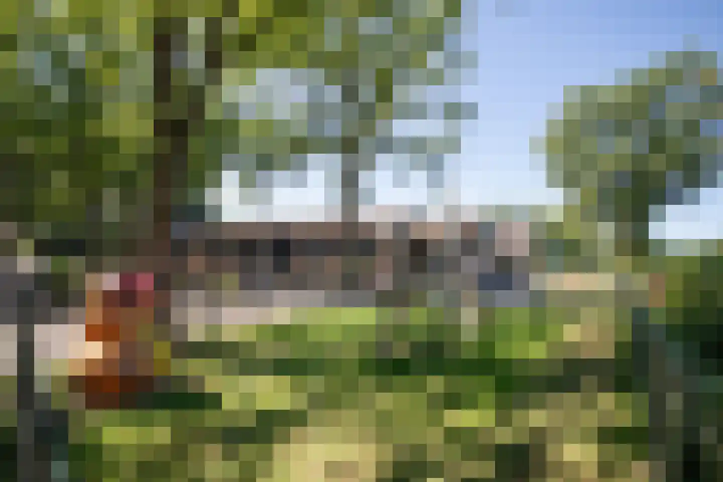 Hexelseweg 80 Z512 Hoge Hexel thumbnail 4