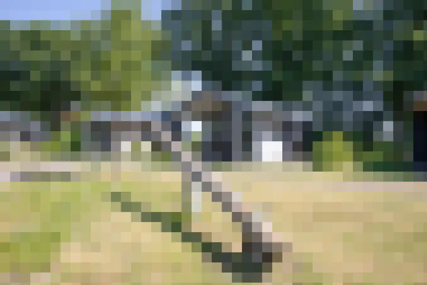 Hexelseweg 80 Z512 Hoge Hexel thumbnail 6