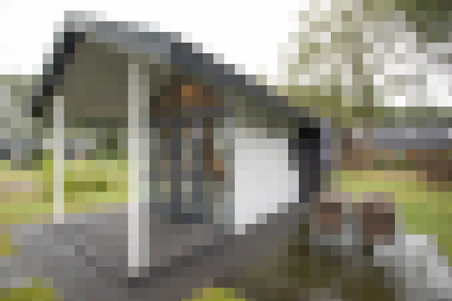 Hexelseweg 80 Z517 Hoge Hexel thumbnail 18