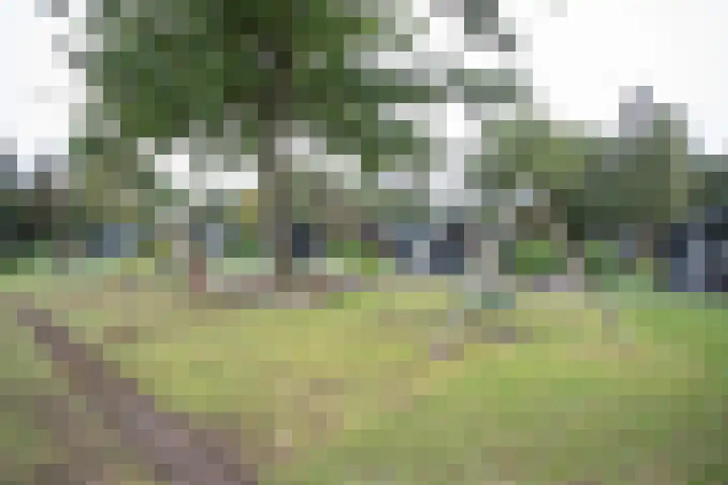Hexelseweg 80 Z517 Hoge Hexel thumbnail 24