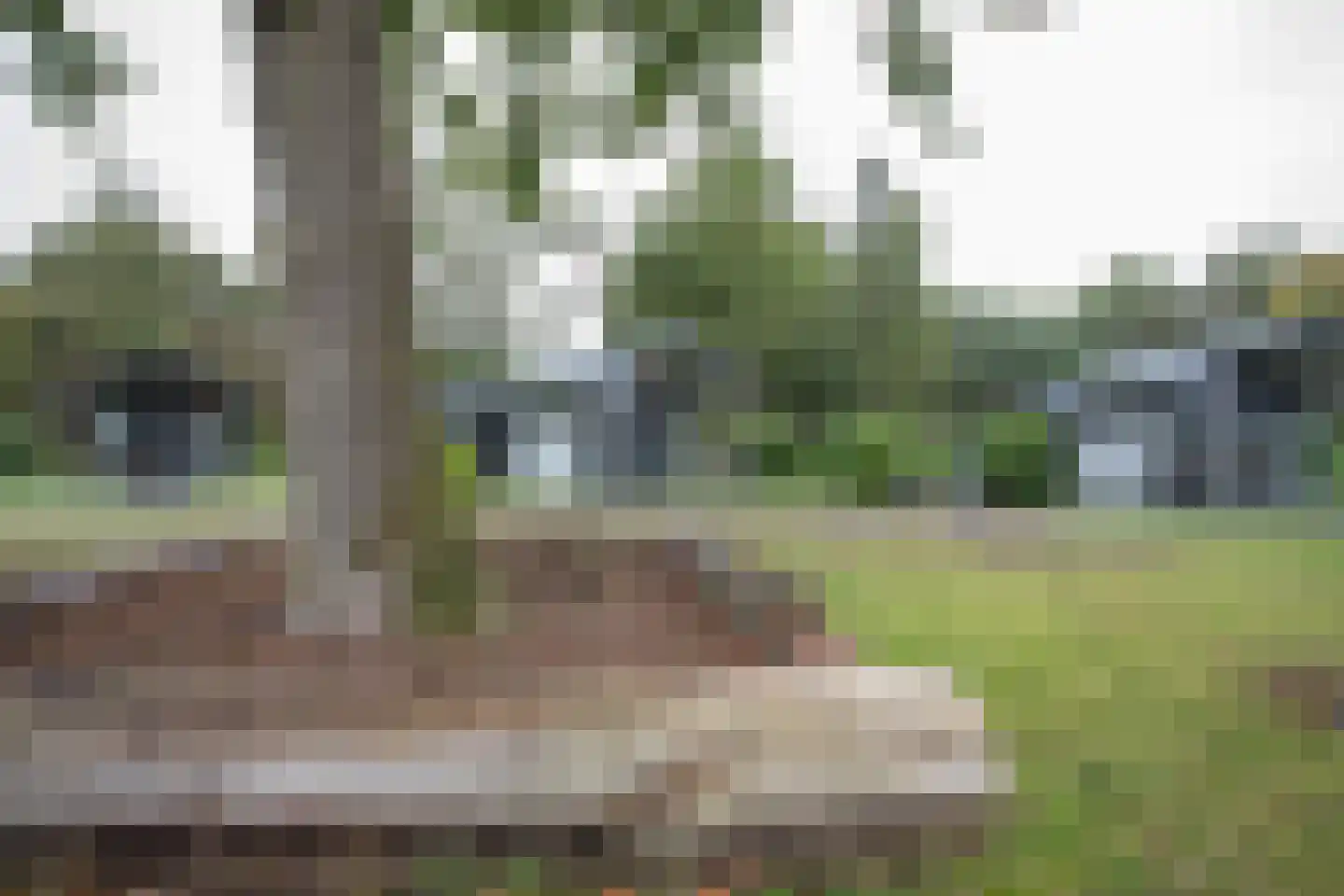 Hexelseweg 80 Z517 Hoge Hexel thumbnail 25
