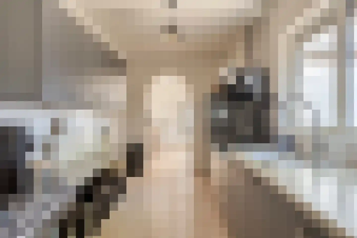 Heydaalweg 1 Eindhoven thumbnail 19