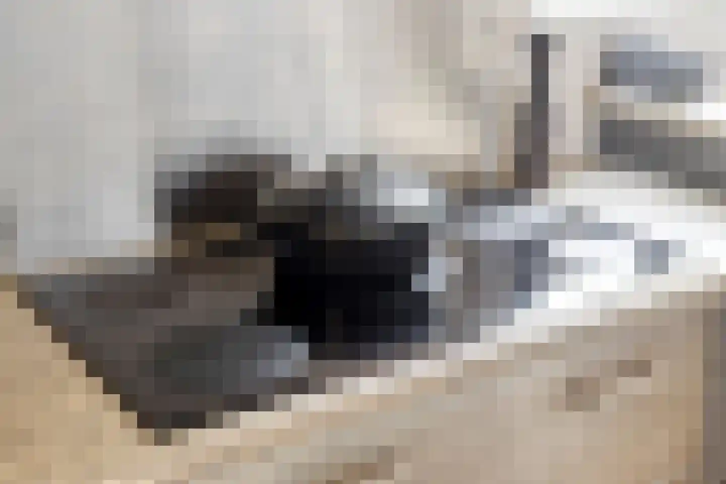 Heydaalweg 1 Eindhoven thumbnail 21
