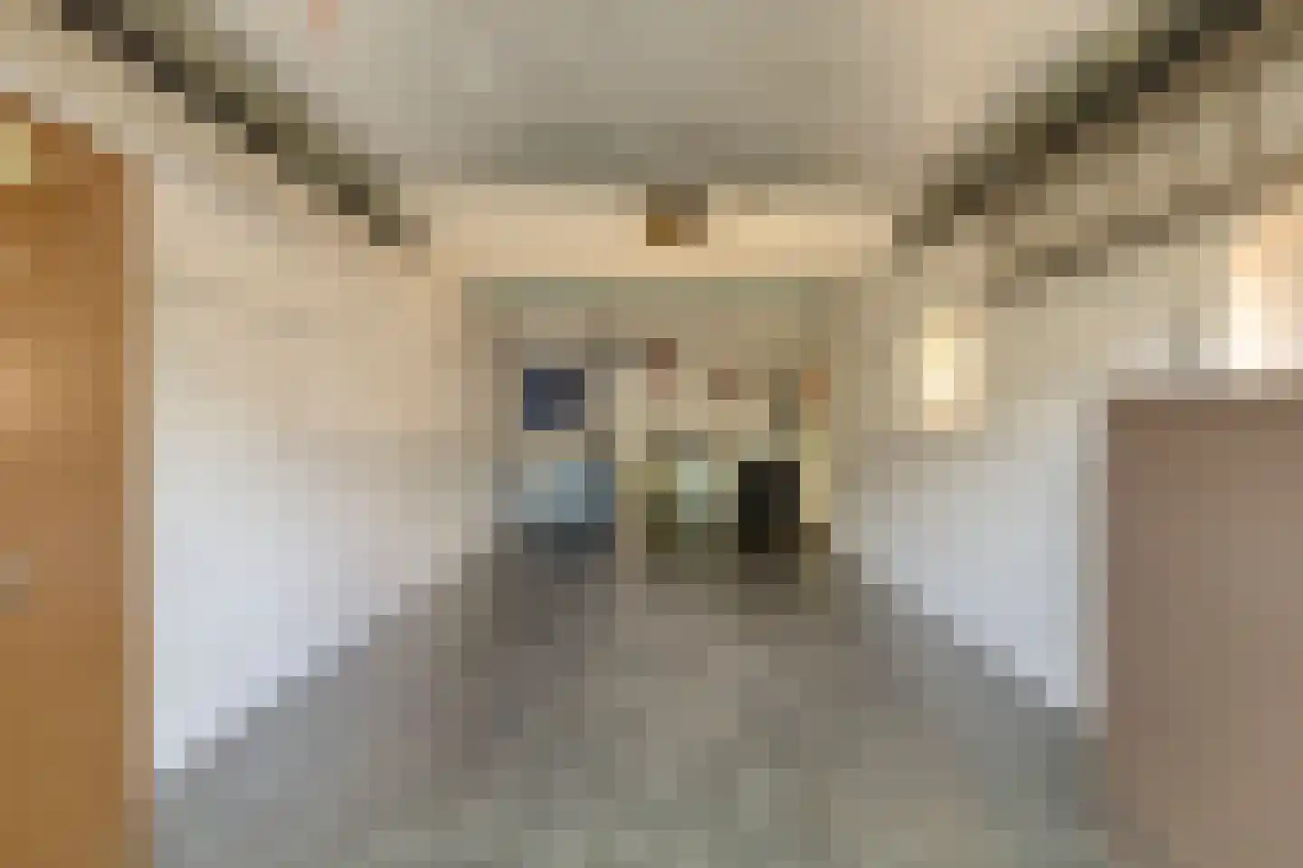 Heydaalweg 1 Eindhoven thumbnail 25