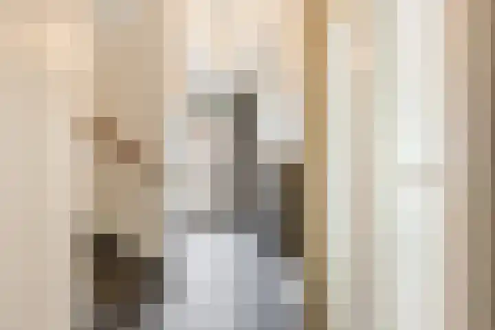Heydaalweg 9 Eindhoven thumbnail 19