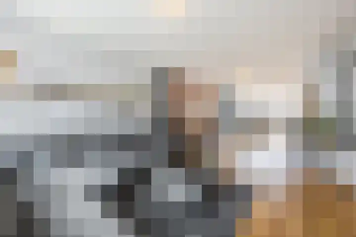 Heydaalweg 9 Eindhoven thumbnail 9