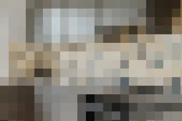 Heydenrijckstraat 10 Nijmegen thumbnail 22