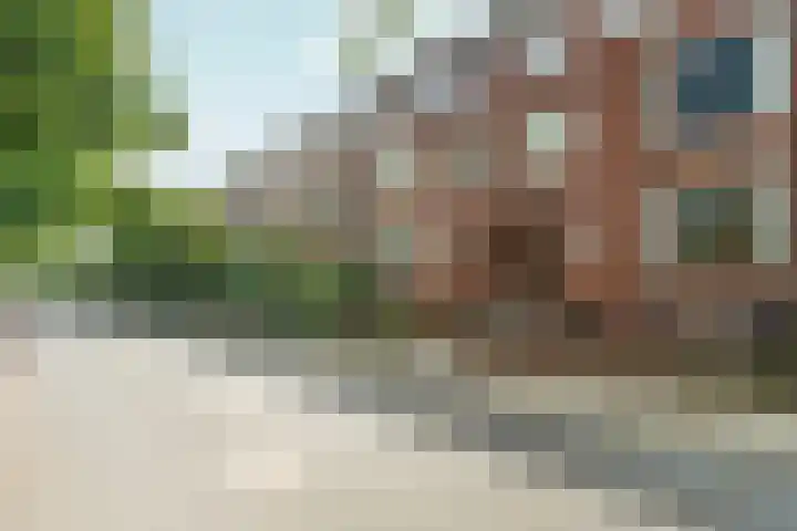 Heydenrijckstraat 10 Nijmegen thumbnail 45