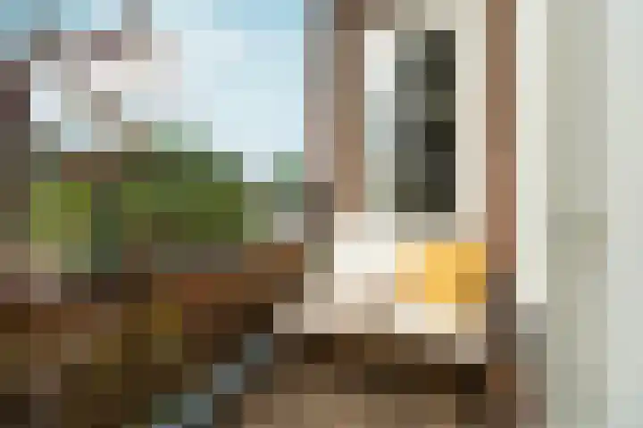 Heydenrijckstraat 10 Nijmegen thumbnail 5