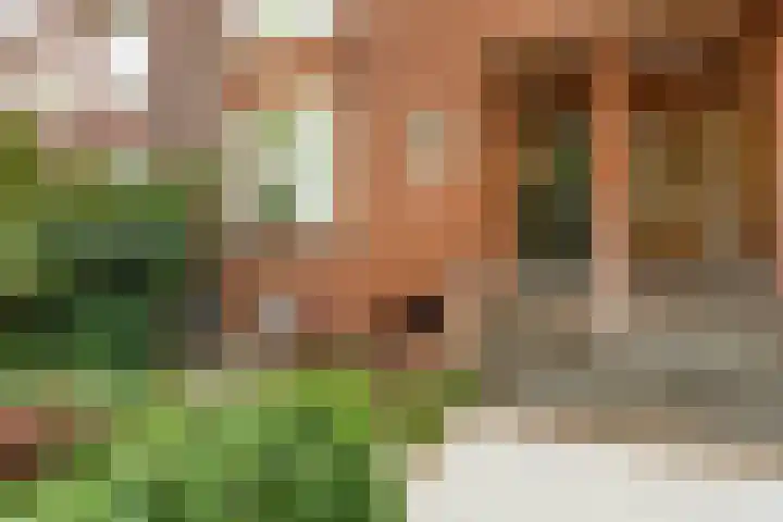 Heydenrijckstraat 10 Nijmegen thumbnail 6
