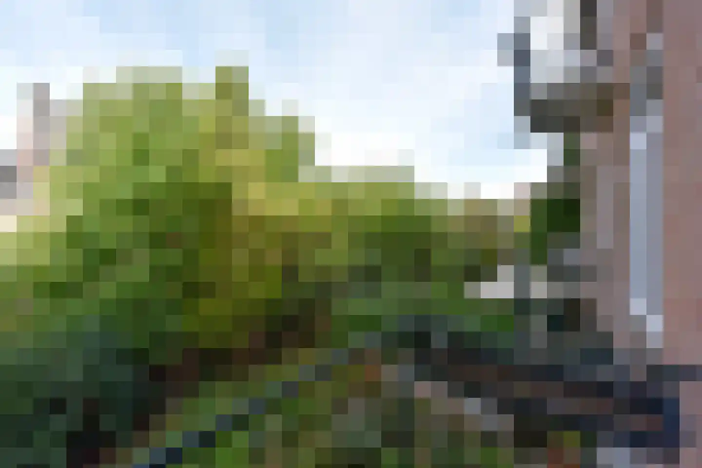 Heydenrijckstraat 30 Nijmegen thumbnail 20