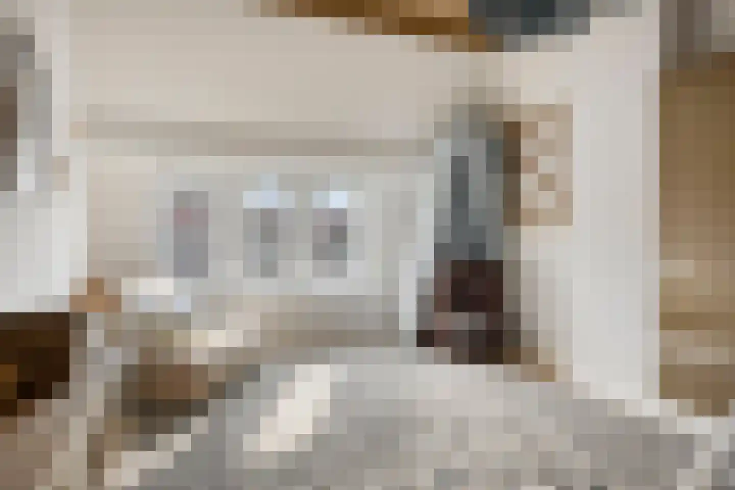 Heydenrijckstraat 4 Nijmegen thumbnail 50