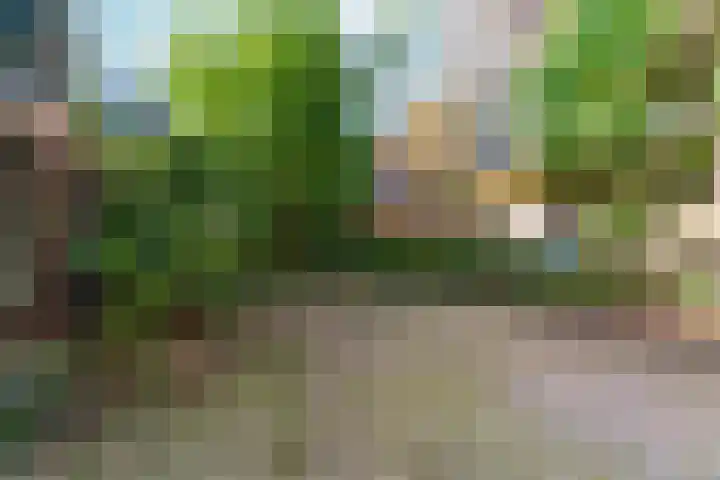 Heydenrijckstraat 74 Nijmegen thumbnail 63