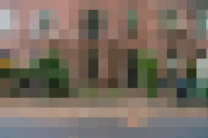 Heydenrijckstraat 78 Nijmegen thumbnail 61