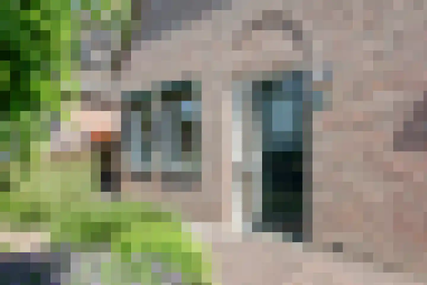 Heyencamp 72 Reuver thumbnail 5