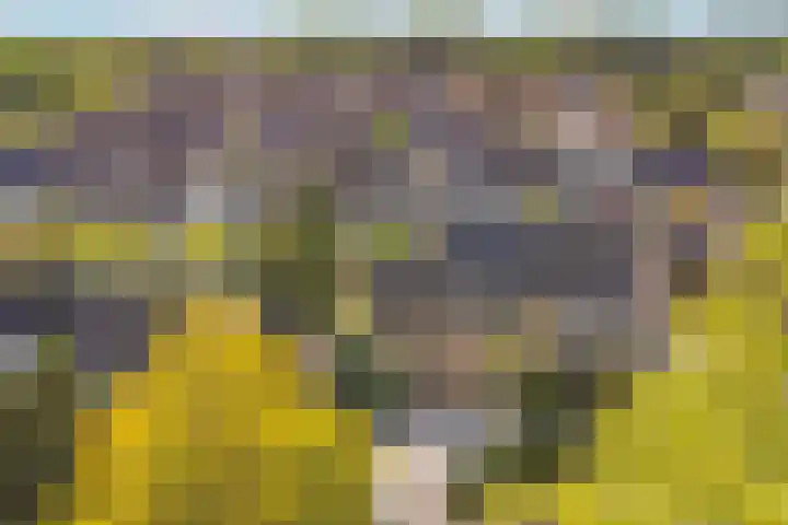 Heyendaal 31 Ede thumbnail 47