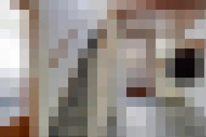 Heyendaalseweg 14 Nijmegen thumbnail 10