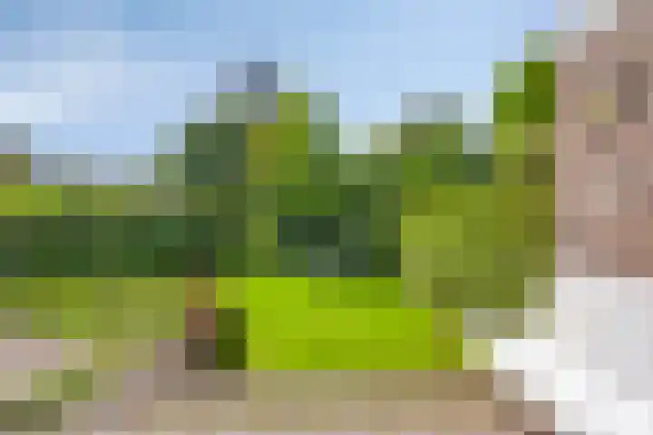 Heyendaalseweg 14 Nijmegen thumbnail 5