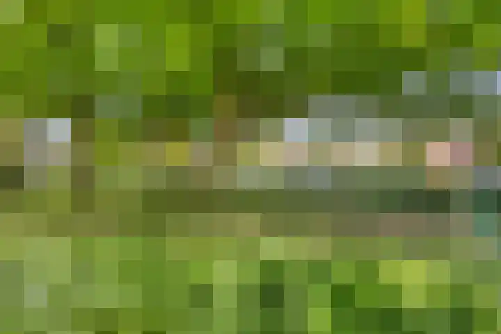 Heyendaalseweg 14 Nijmegen thumbnail 56