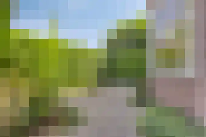 Heyendaalseweg 14 Nijmegen thumbnail 6