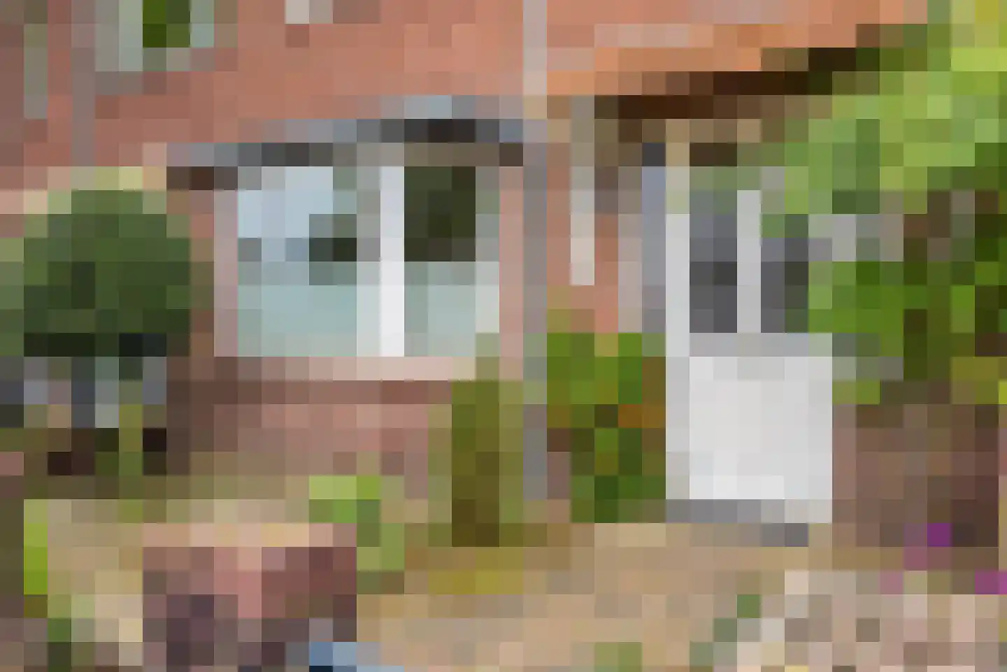 Heyendaalseweg 211 Nijmegen thumbnail 35
